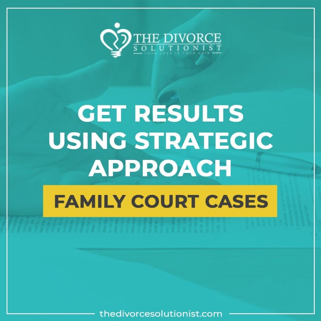 Family Court Assistance USA Pro Se Family Court The Divorce Solutionist