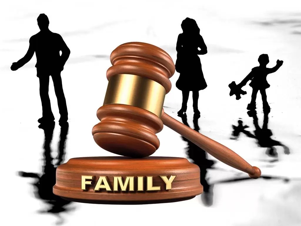 Agencies’ Resources in Family Court