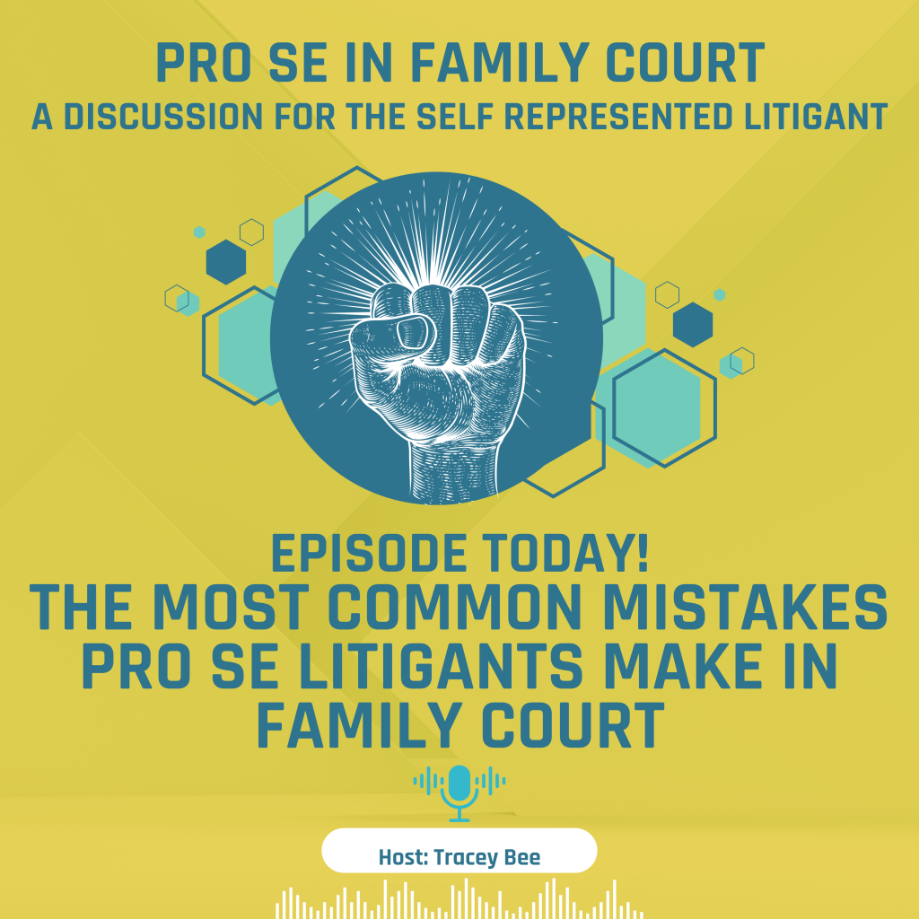 Episode 7: The Most Common Mistakes Pro Se Litigants Make in Family ...