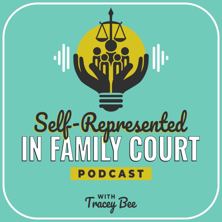 Self-Represented in Family Court